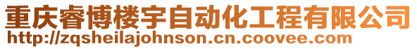 重慶睿博樓宇自動化工程有限公司