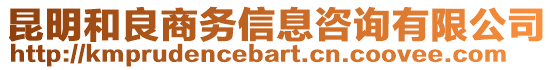 昆明和良商務(wù)信息咨詢有限公司