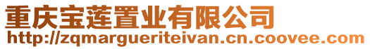 重慶寶蓮置業有限公司