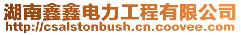 湖南鑫鑫電力工程有限公司