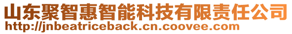 山東聚智惠智能科技有限責任公司
