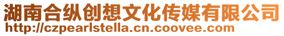 湖南合縱創想文化傳媒有限公司