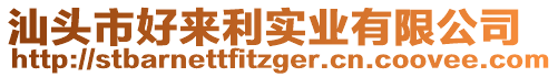 汕頭市好來利實業有限公司