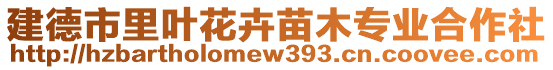 建德市里葉花卉苗木專業合作社