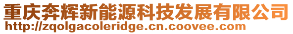 重慶奔輝新能源科技發(fā)展有限公司