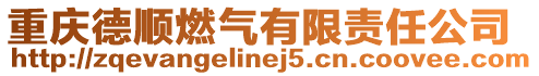 重慶德順燃?xì)庥邢挢?zé)任公司