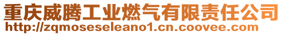 重慶威騰工業燃氣有限責任公司