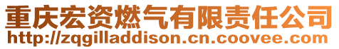 重慶宏資燃?xì)庥邢挢?zé)任公司