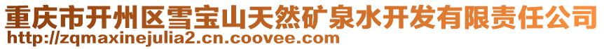 重慶市開州區(qū)雪寶山天然礦泉水開發(fā)有限責任公司