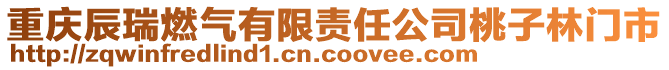 重慶辰瑞燃氣有限責任公司桃子林門市