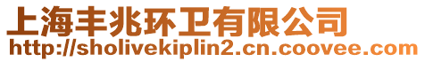 上海豐兆環衛有限公司