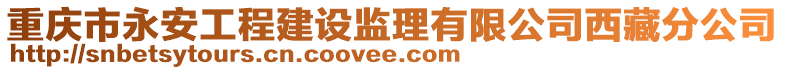 重慶市永安工程建設監理有限公司西藏分公司