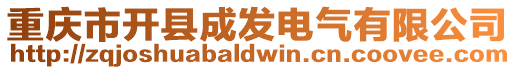 重慶市開縣成發電氣有限公司