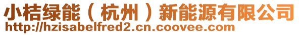 小桔綠能（杭州）新能源有限公司