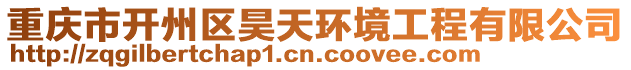 重慶市開(kāi)州區(qū)昊天環(huán)境工程有限公司