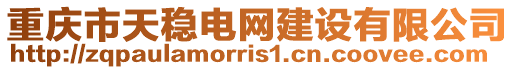 重慶市天穩電網建設有限公司