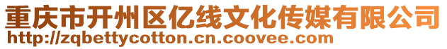 重慶市開州區(qū)億線文化傳媒有限公司