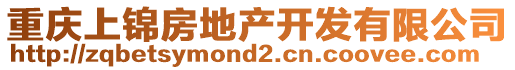 重慶上錦房地產(chǎn)開發(fā)有限公司