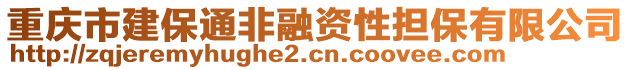 重慶市建保通非融資性擔(dān)保有限公司