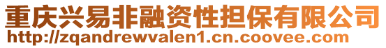 重慶興易非融資性擔(dān)保有限公司