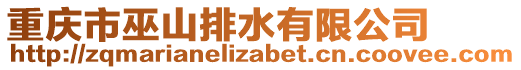 重慶市巫山排水有限公司