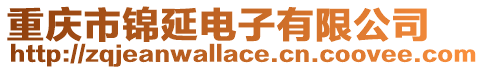 重慶市錦延電子有限公司