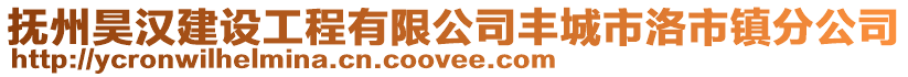 撫州昊漢建設工程有限公司豐城市洛市鎮分公司