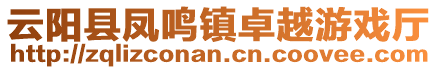 云陽(yáng)縣鳳鳴鎮(zhèn)卓越游戲廳