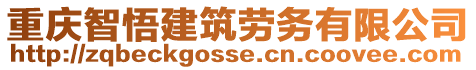 重慶智悟建筑勞務(wù)有限公司