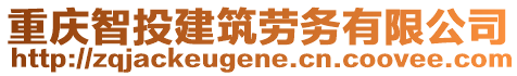 重慶智投建筑勞務(wù)有限公司