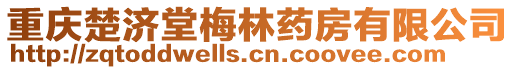 重慶楚濟(jì)堂梅林藥房有限公司