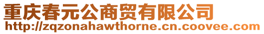 重慶春元公商貿有限公司