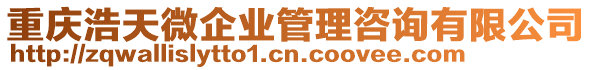 重慶浩天微企業管理咨詢有限公司