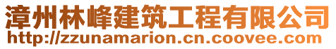 漳州林峰建筑工程有限公司