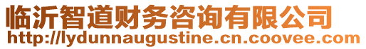 臨沂智道財務咨詢有限公司
