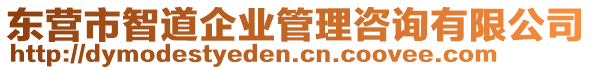 東營市智道企業(yè)管理咨詢有限公司