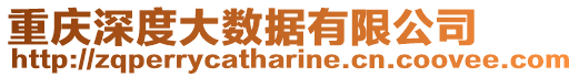 重慶深度大數(shù)據(jù)有限公司