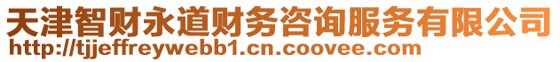天津智財永道財務咨詢服務有限公司