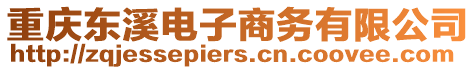 重慶東溪電子商務有限公司