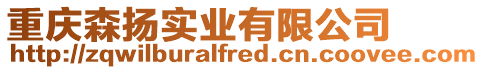 重慶森揚實業有限公司