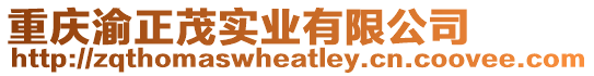 重慶渝正茂實業有限公司