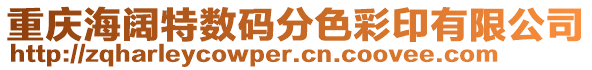 重慶海闊特數碼分色彩印有限公司