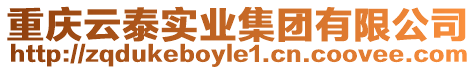 重慶云泰實業集團有限公司