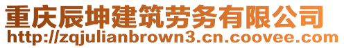 重慶辰坤建筑勞務有限公司