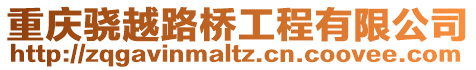重慶驍越路橋工程有限公司