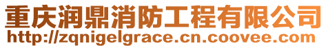 重慶潤鼎消防工程有限公司