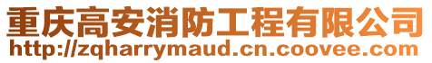 重慶高安消防工程有限公司