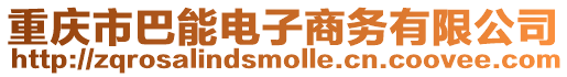 重慶市巴能電子商務(wù)有限公司