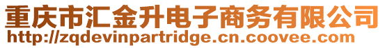 重慶市匯金升電子商務有限公司