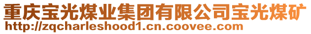 重慶寶光煤業(yè)集團有限公司寶光煤礦